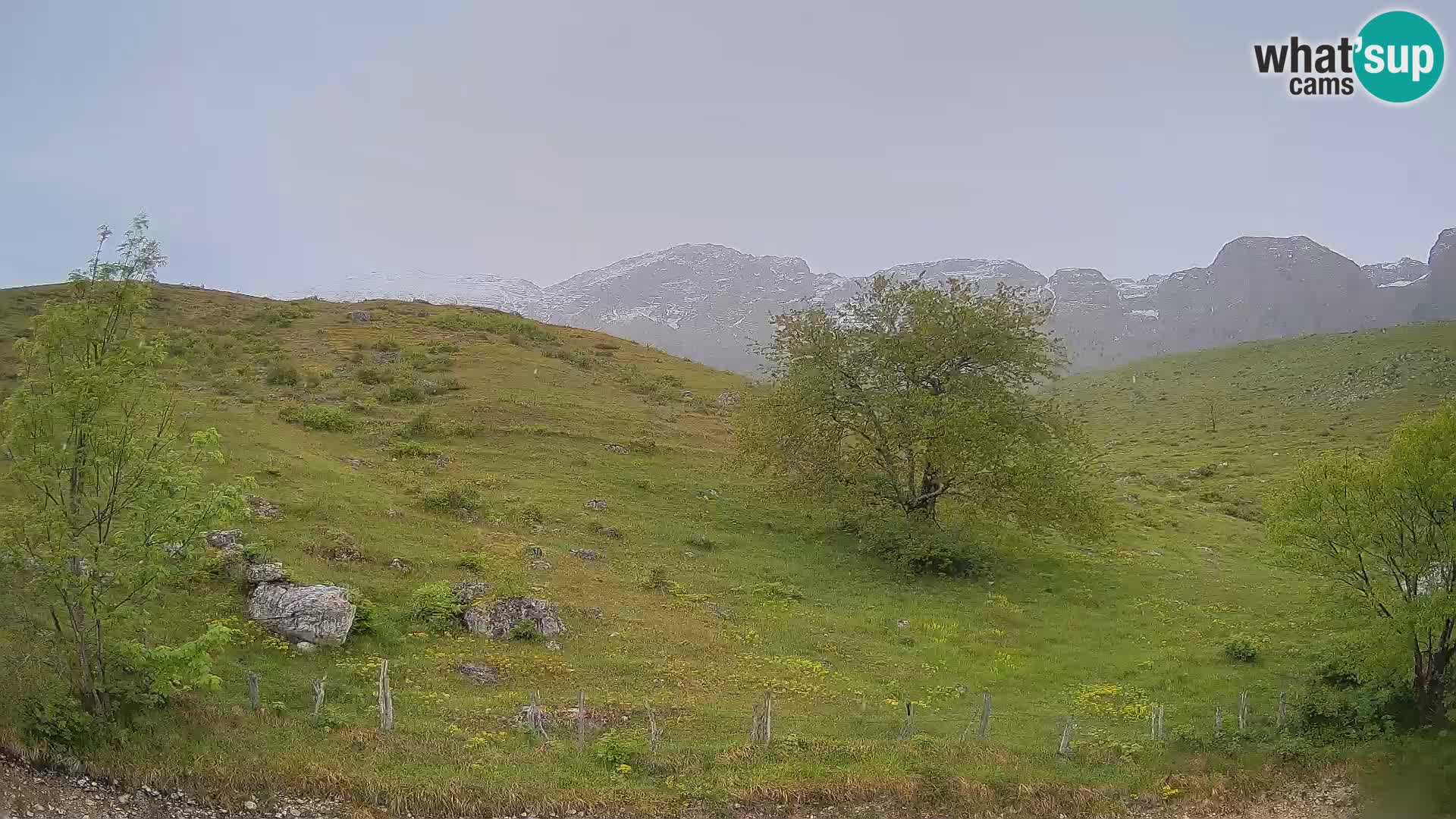 Web kamera Planina Kuhinja – KRN – Kobarid – Slovenija