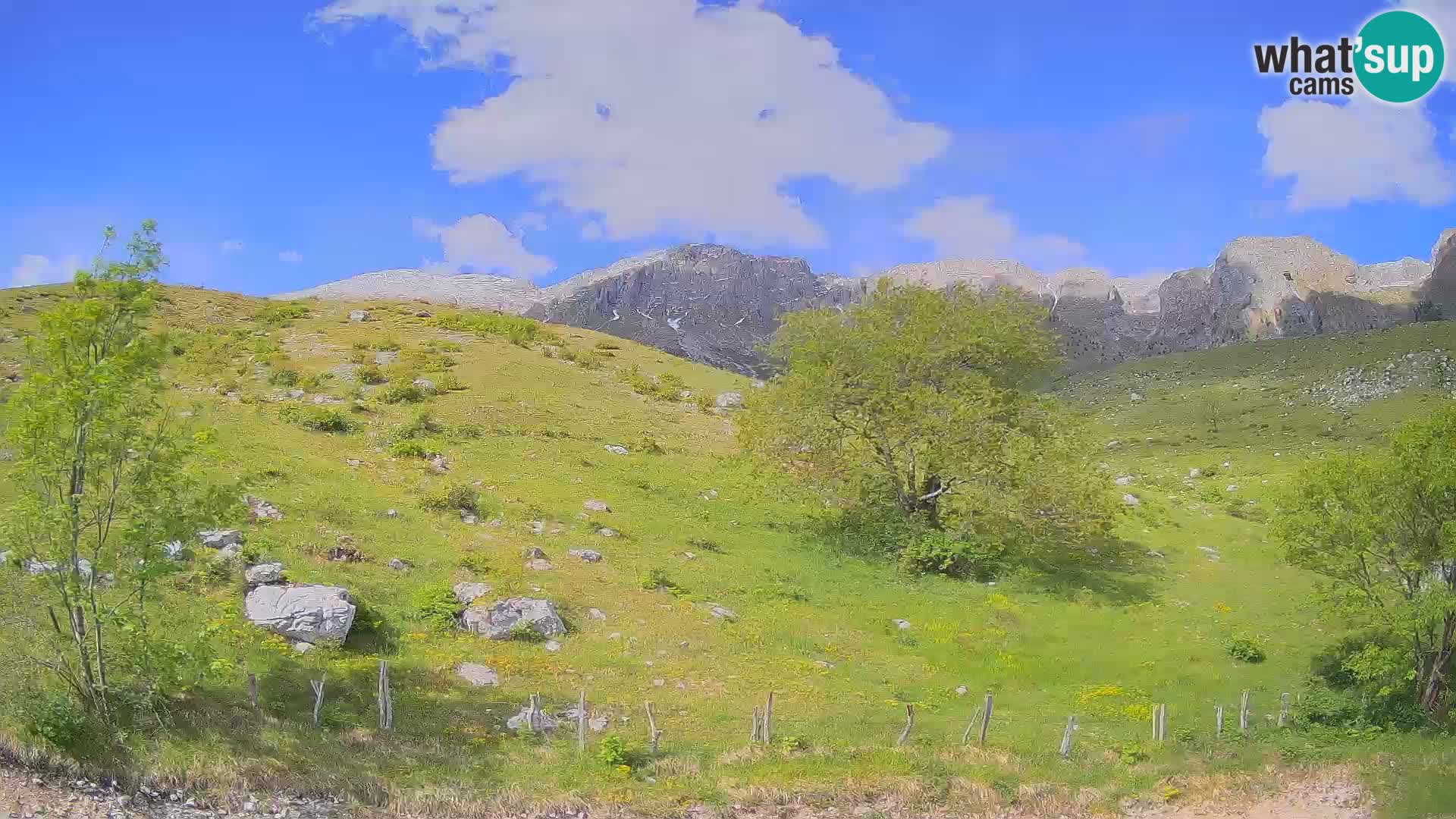 Spletna kamera Planina Kuhinja – KRN – Kobarid