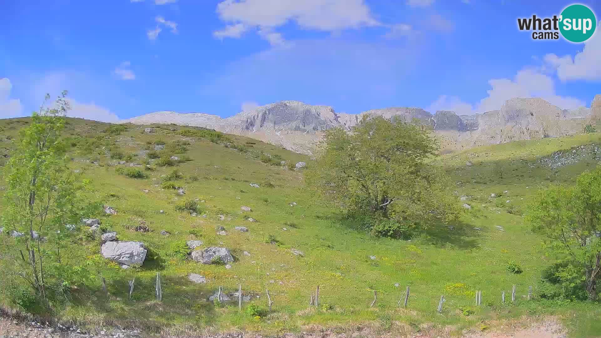 Webcam Krn – Planina Kuhinja ( Plateau Kuhinja ) – Kobarid – Slovenia