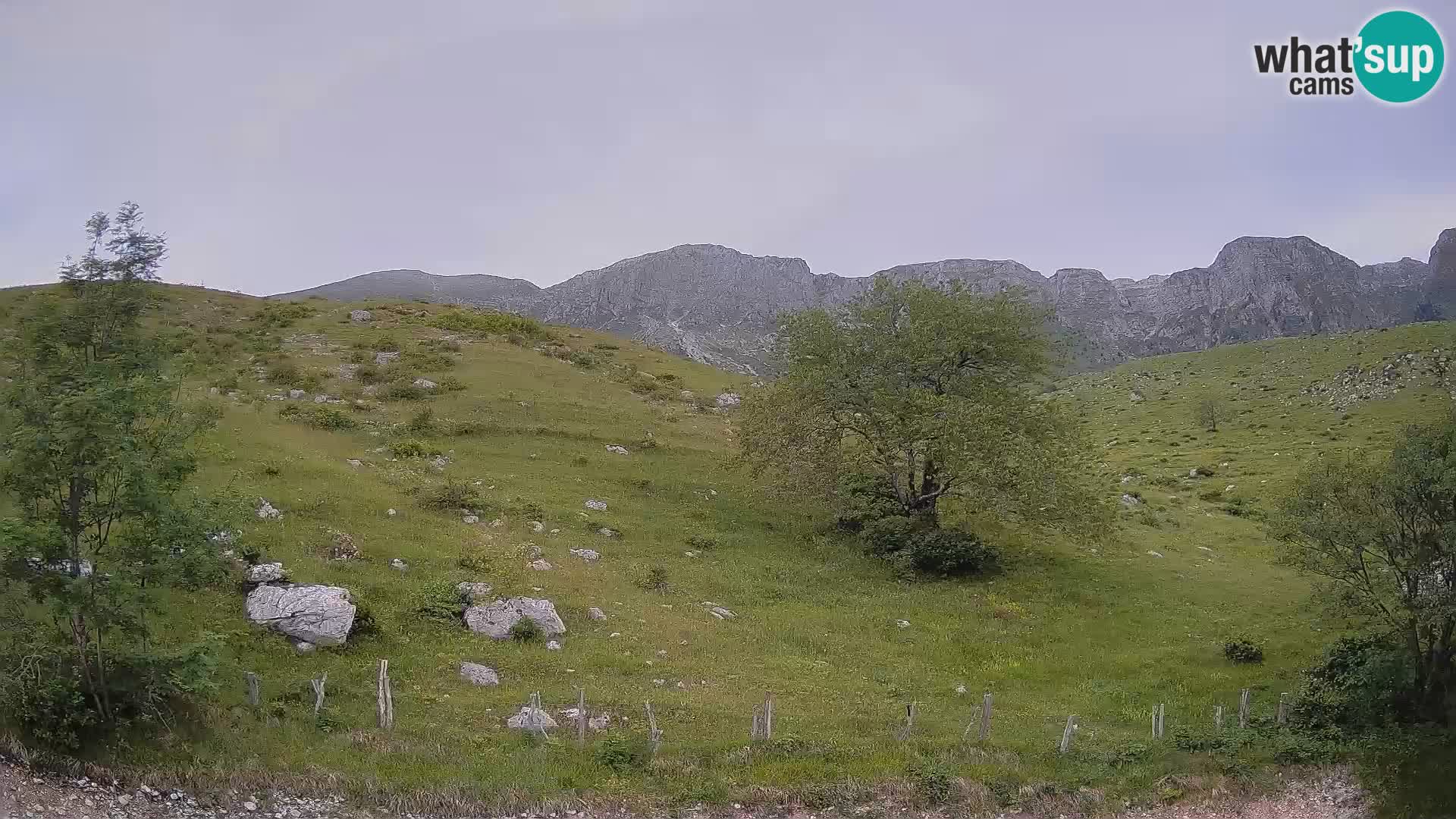 Livecam Planina Kuhinja – KRN- Kobarid – Slovénie