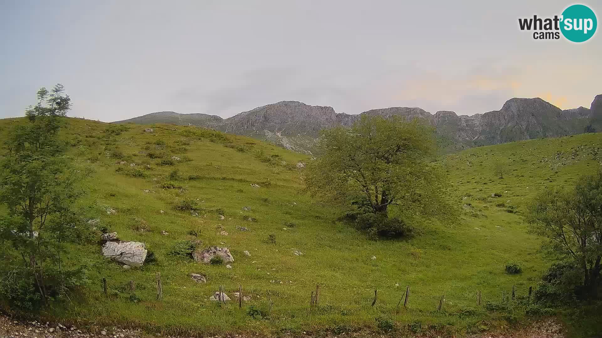 Cámara en Vivo de Planina Kuhinja – KRN – Kobarid – Eslovenia
