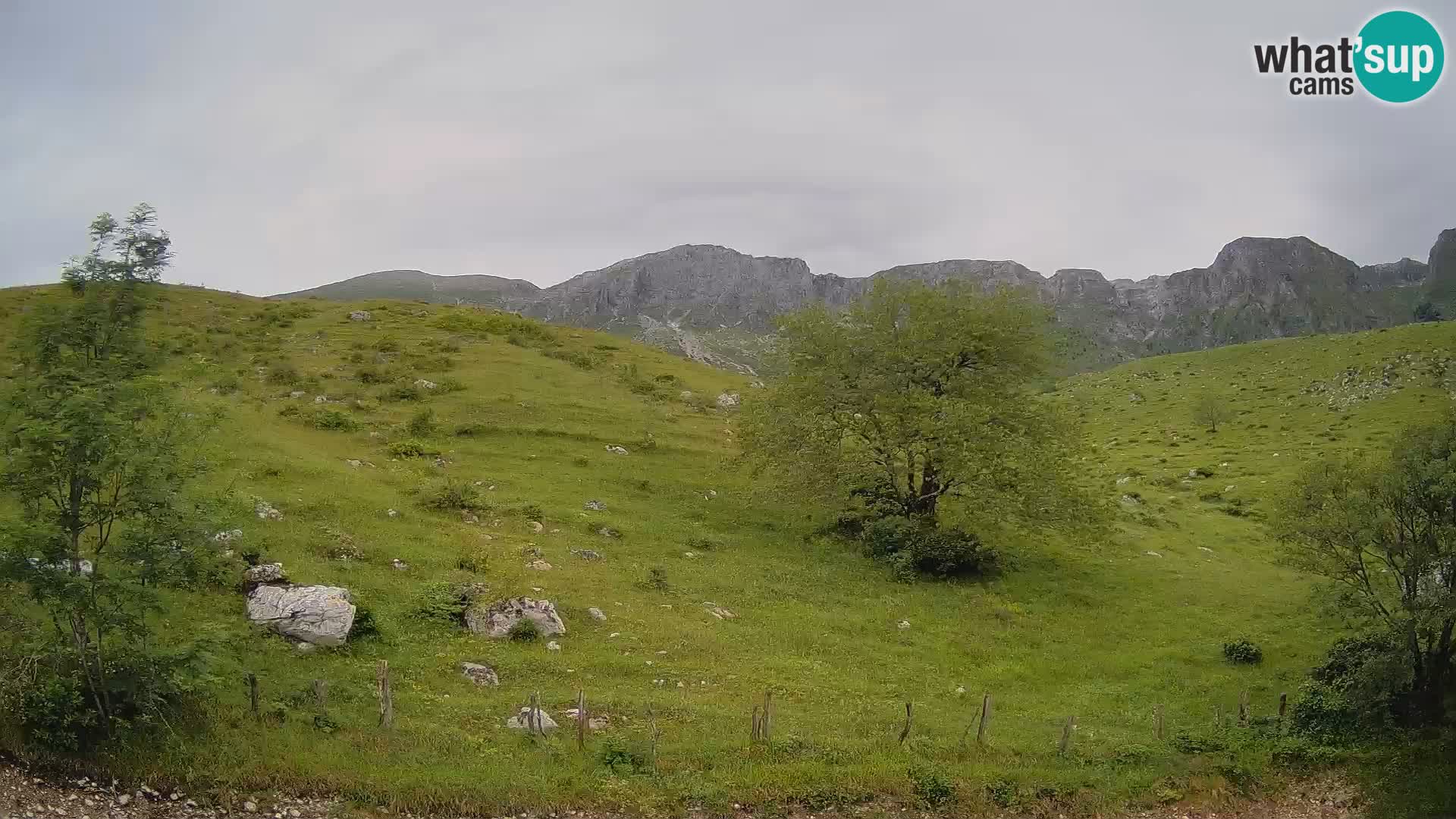 Webcam Planina Kuhinja – KRN – Kobarid – Slowenien