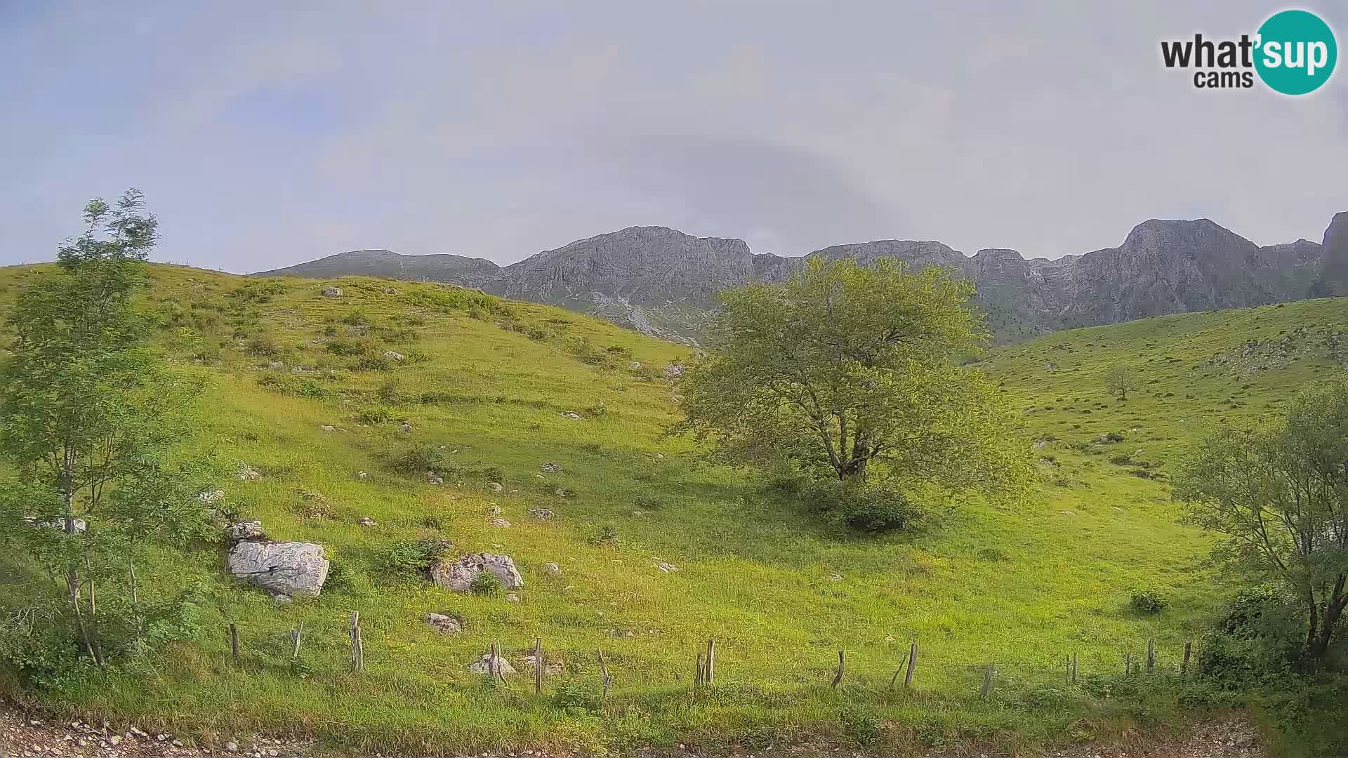 Cámara en Vivo de Planina Kuhinja – KRN – Kobarid – Eslovenia