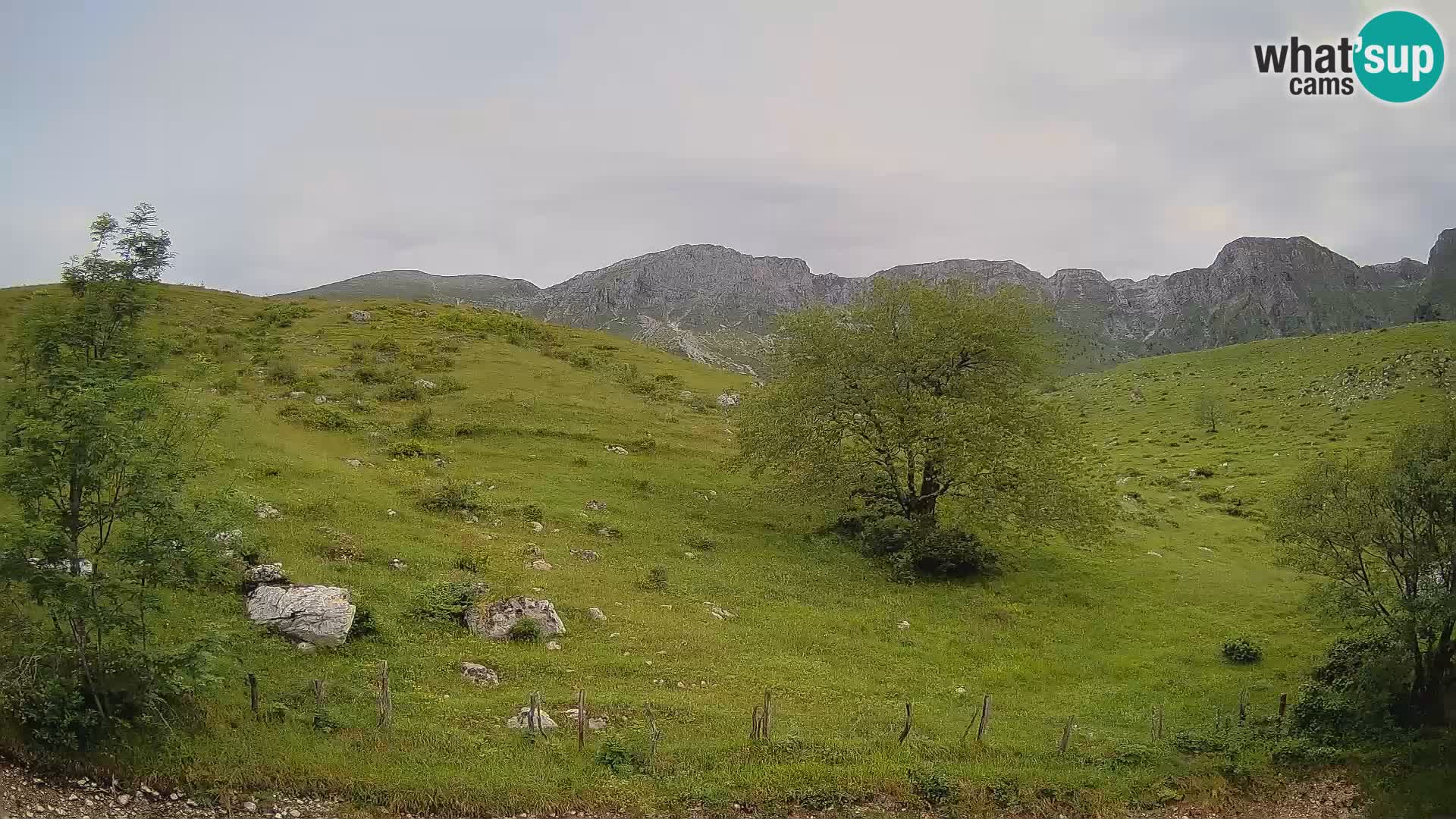 Webcam Krn – Planina Kuhinja ( Plateau Kuhinja ) – Kobarid – Slovenia