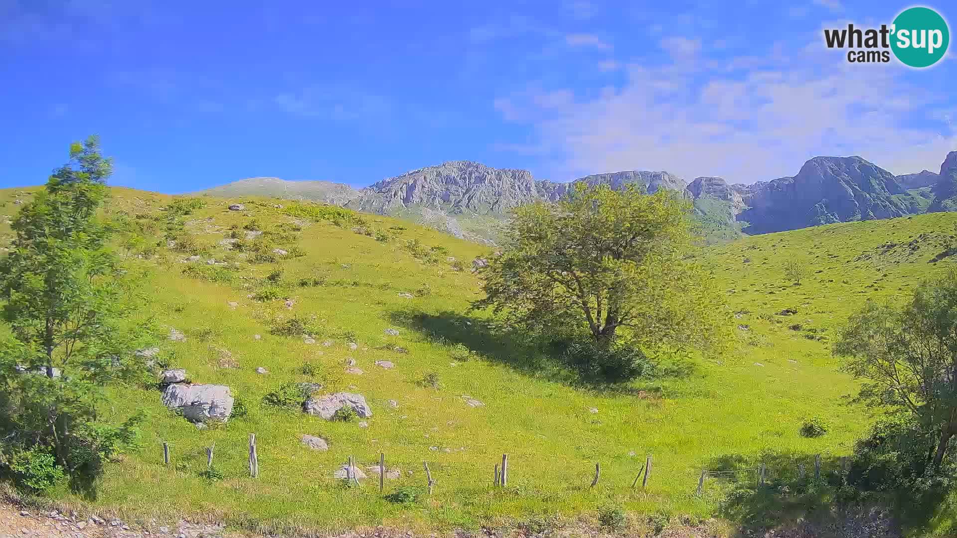 Cámara en Vivo de Planina Kuhinja – KRN – Kobarid – Eslovenia