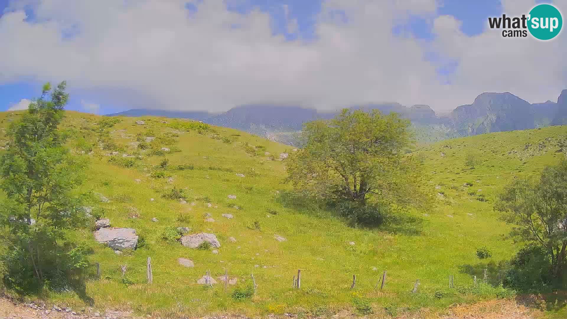 Spletna kamera Planina Kuhinja – KRN – Kobarid