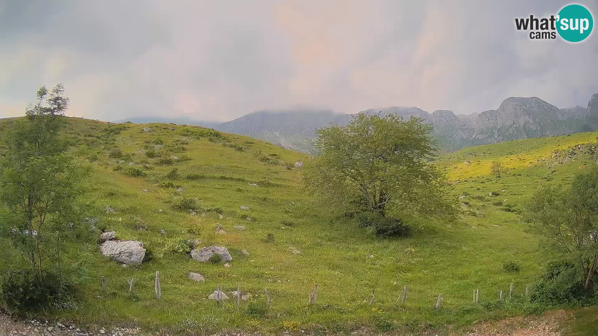 Web kamera Planina Kuhinja – KRN – Kobarid – Slovenija