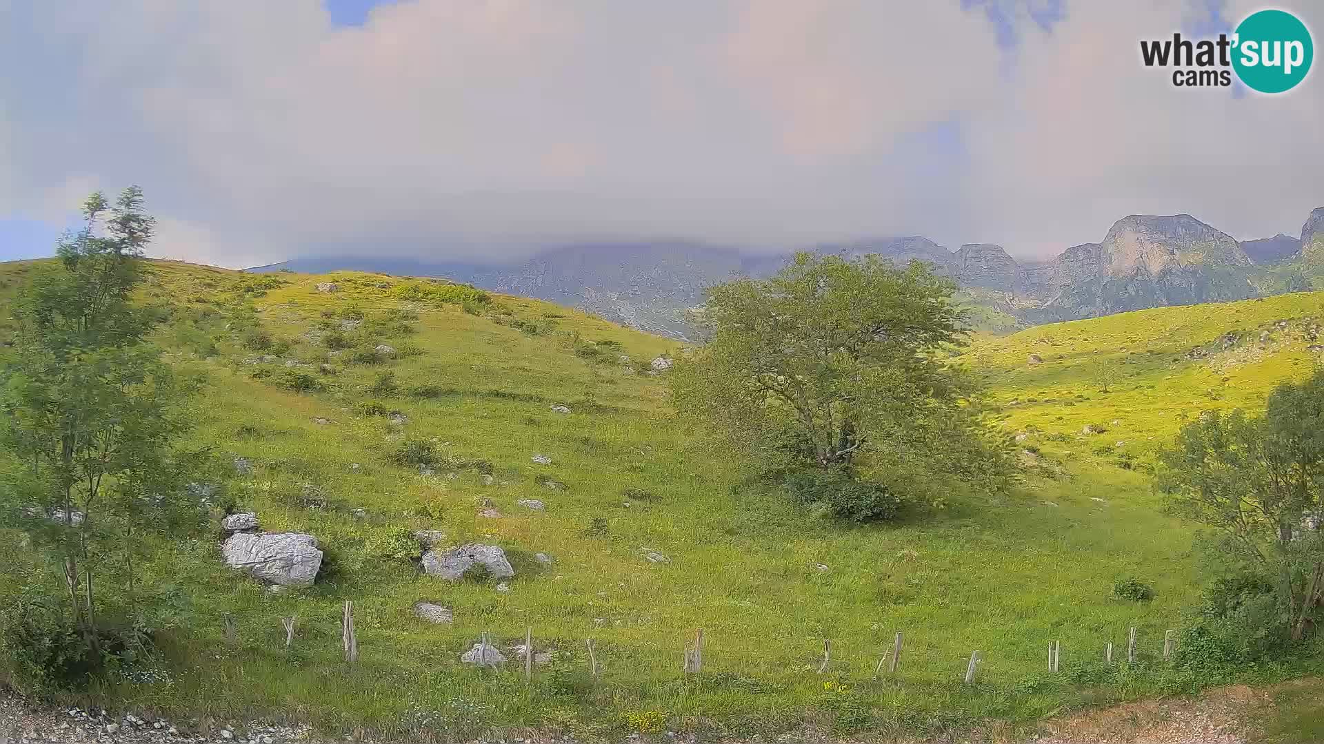 Webcam Krn – Planina Kuhinja ( Plateau Kuhinja ) – Kobarid – Slovenia