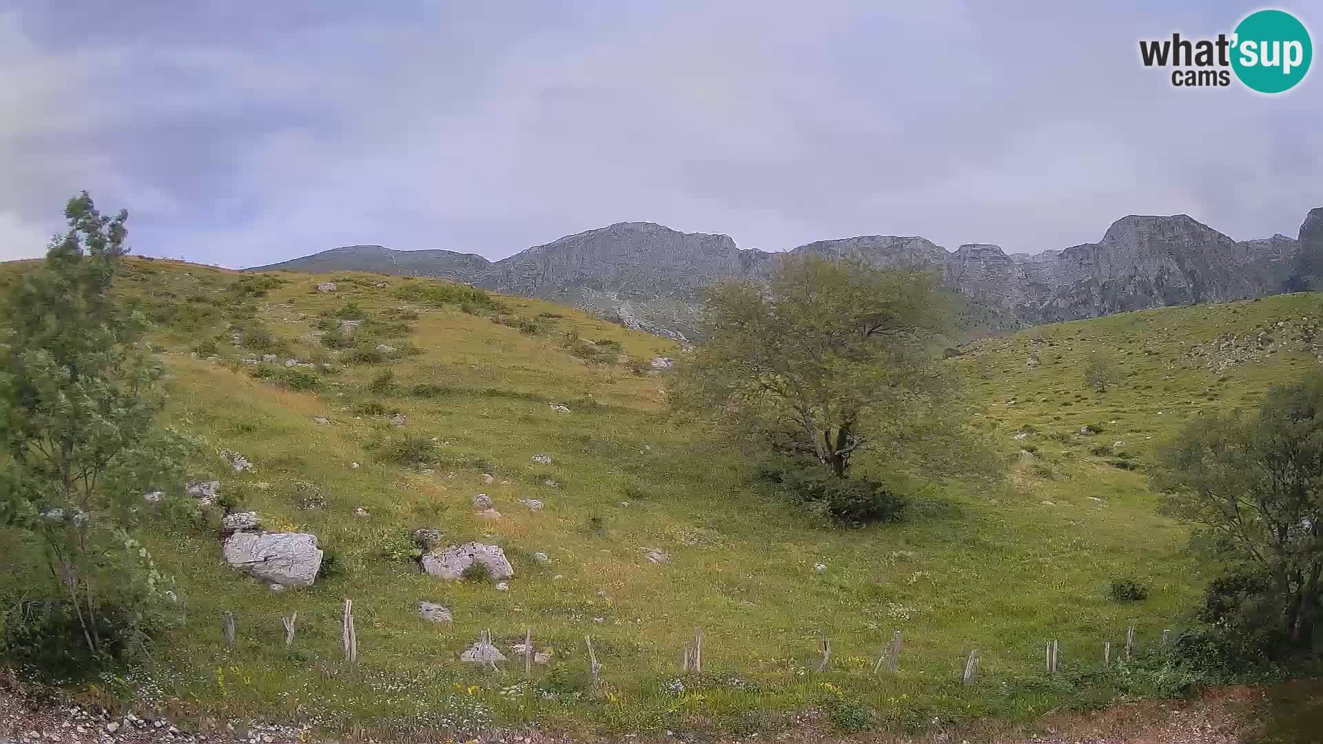 Cámara en Vivo de Planina Kuhinja – KRN – Kobarid – Eslovenia