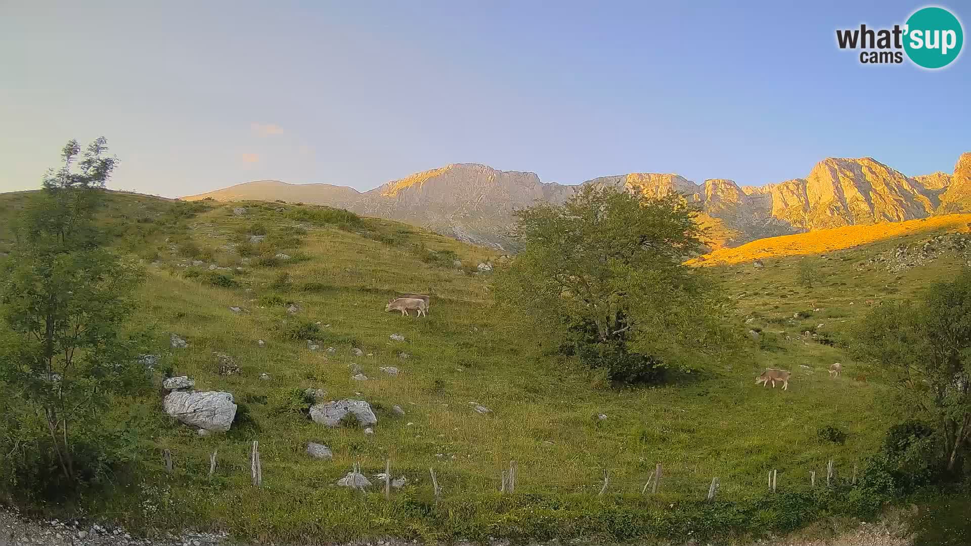 Web kamera Planina Kuhinja – KRN – Kobarid – Slovenija