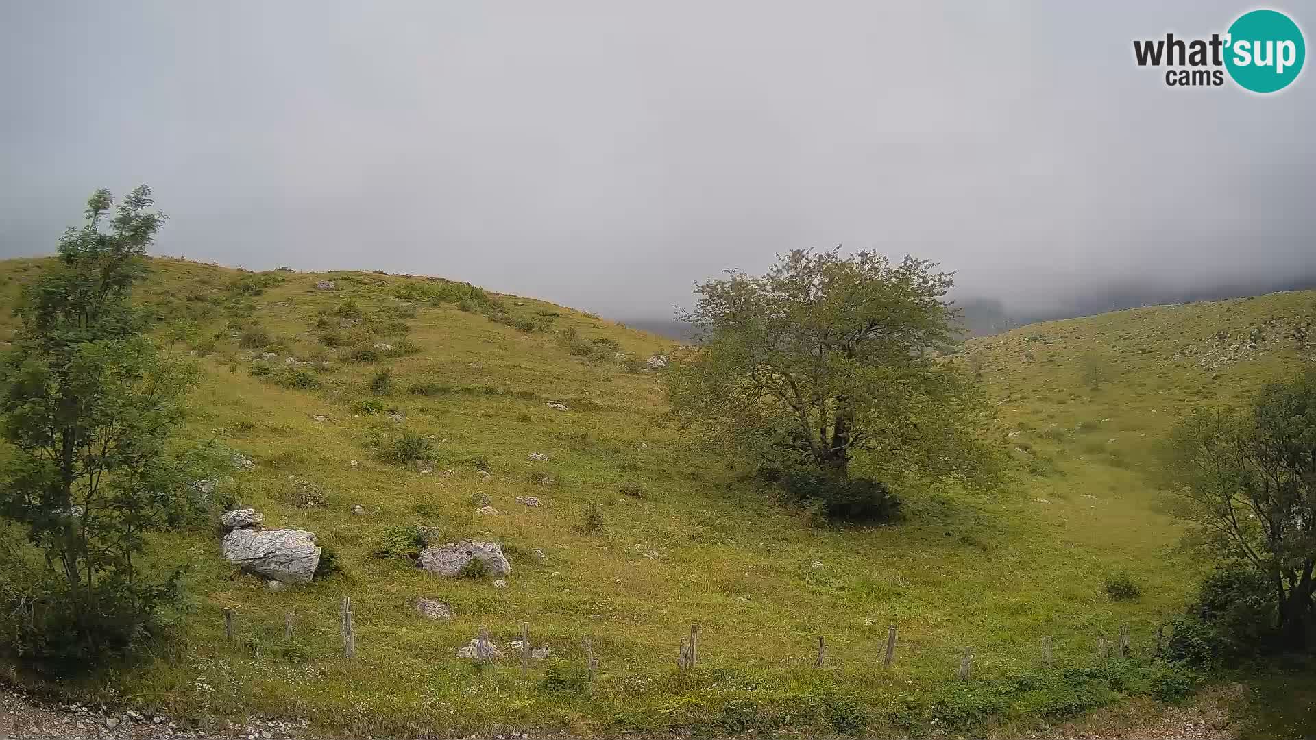 Web kamera Planina Kuhinja – KRN – Kobarid – Slovenija