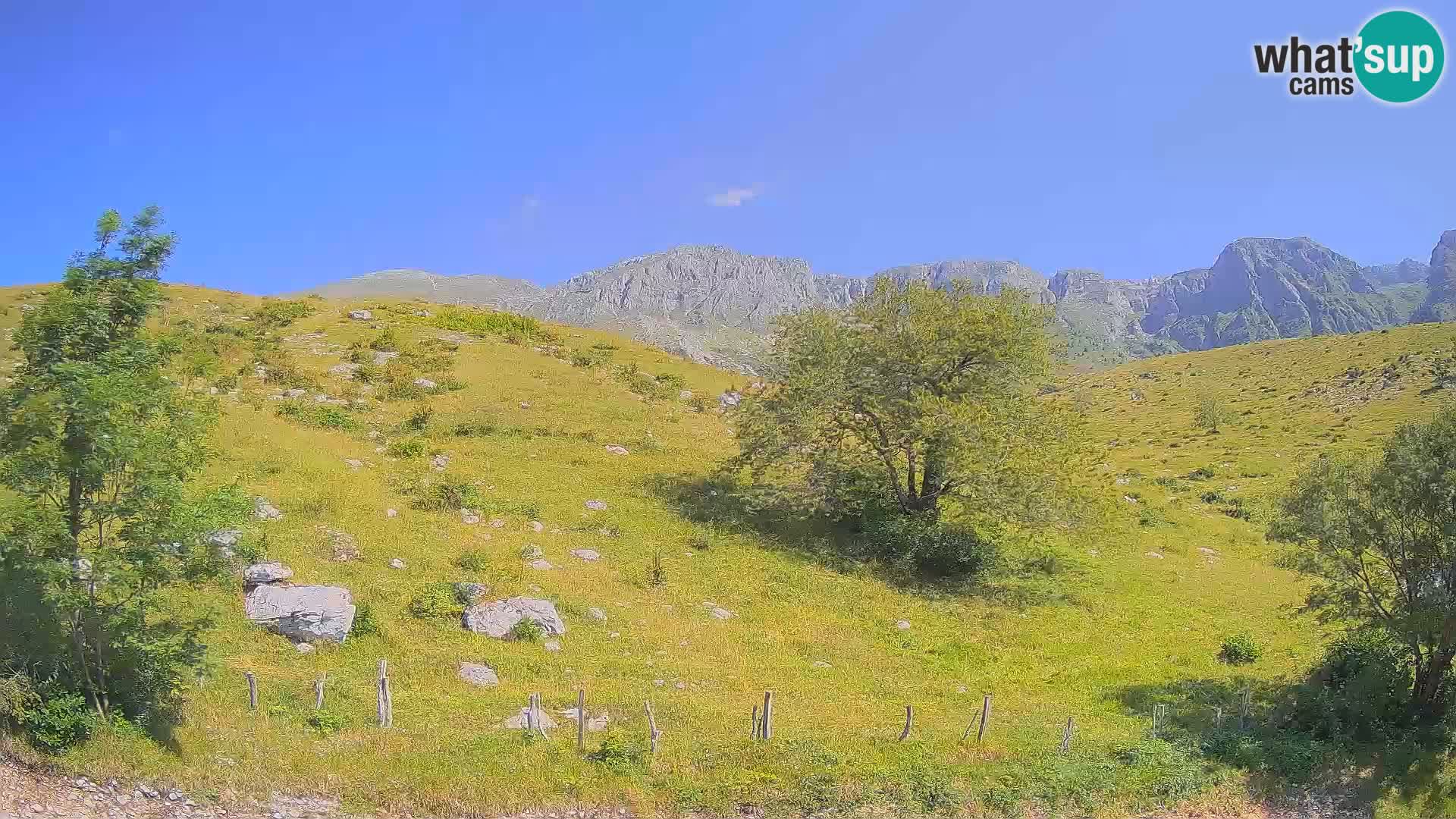 Cámara en Vivo de Planina Kuhinja – KRN – Kobarid – Eslovenia