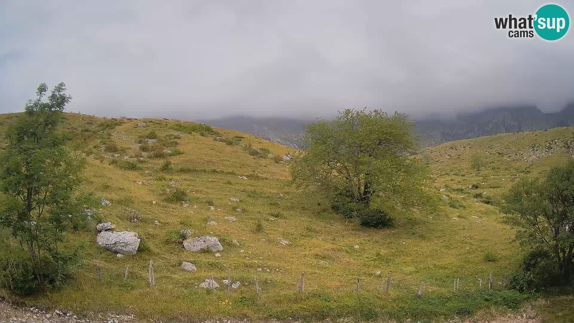 Live cam Planina Kuhinja – Monte Nero ( Krn ) – Caporetto – Slovenia