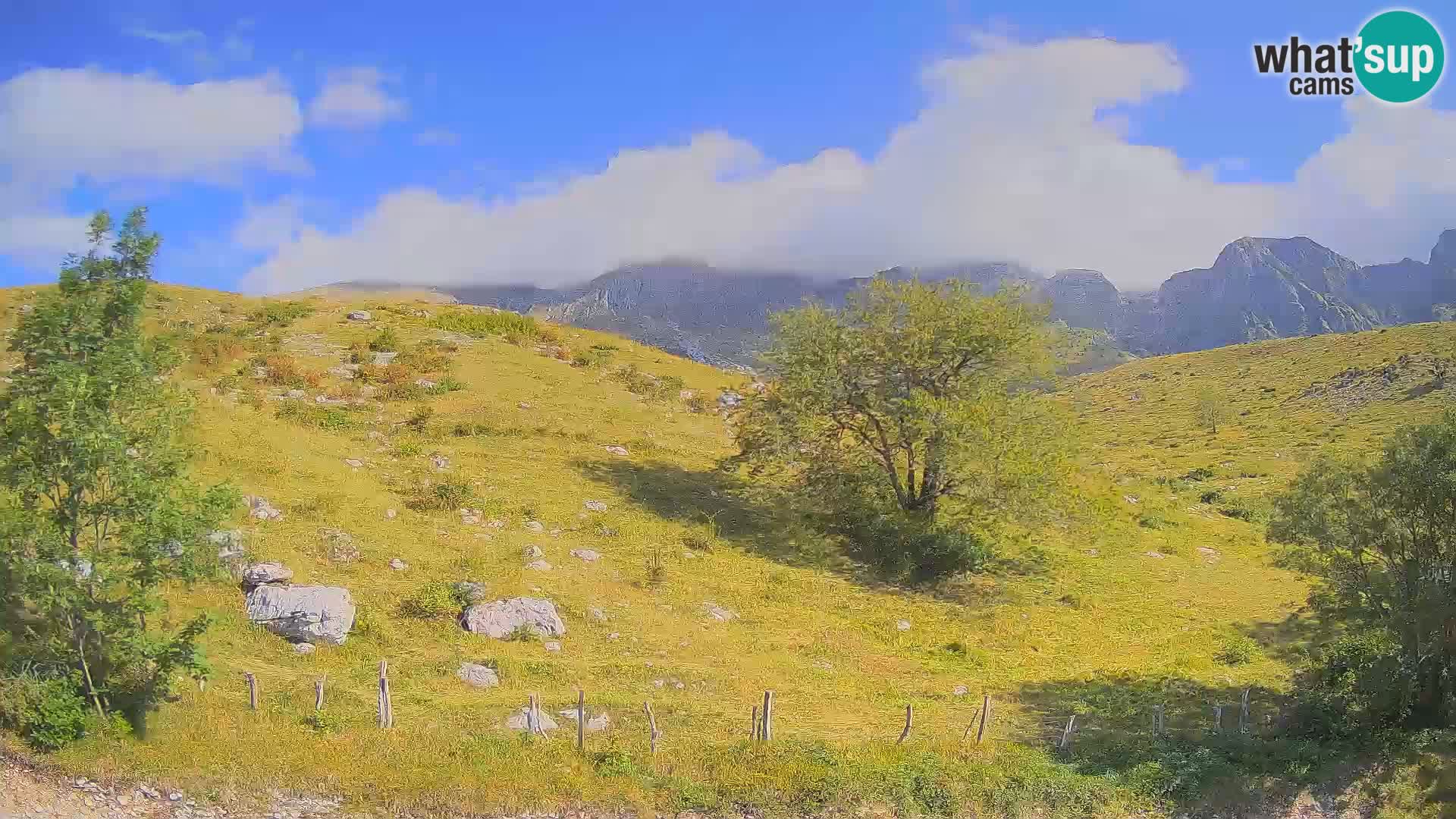 Spletna kamera Planina Kuhinja – KRN – Kobarid