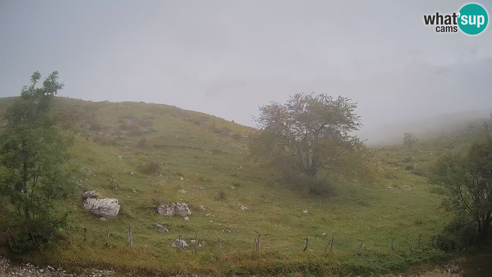 Spletna kamera Planina Kuhinja – KRN – Kobarid