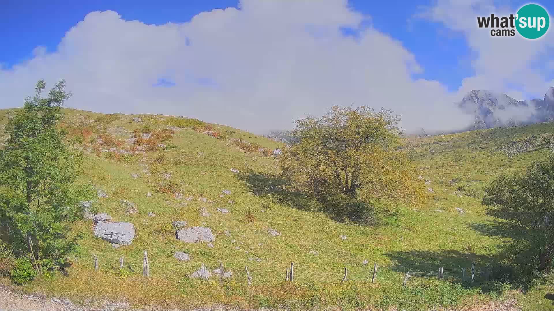Webcam Krn – Planina Kuhinja ( Plateau Kuhinja ) – Kobarid – Slovenia