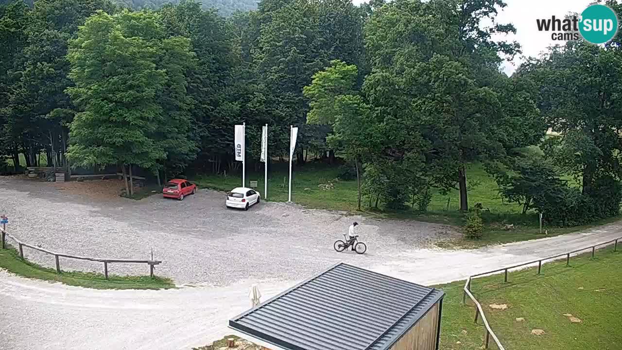 Camera en vivo Kočevje – MTB trail center – Eslovenia