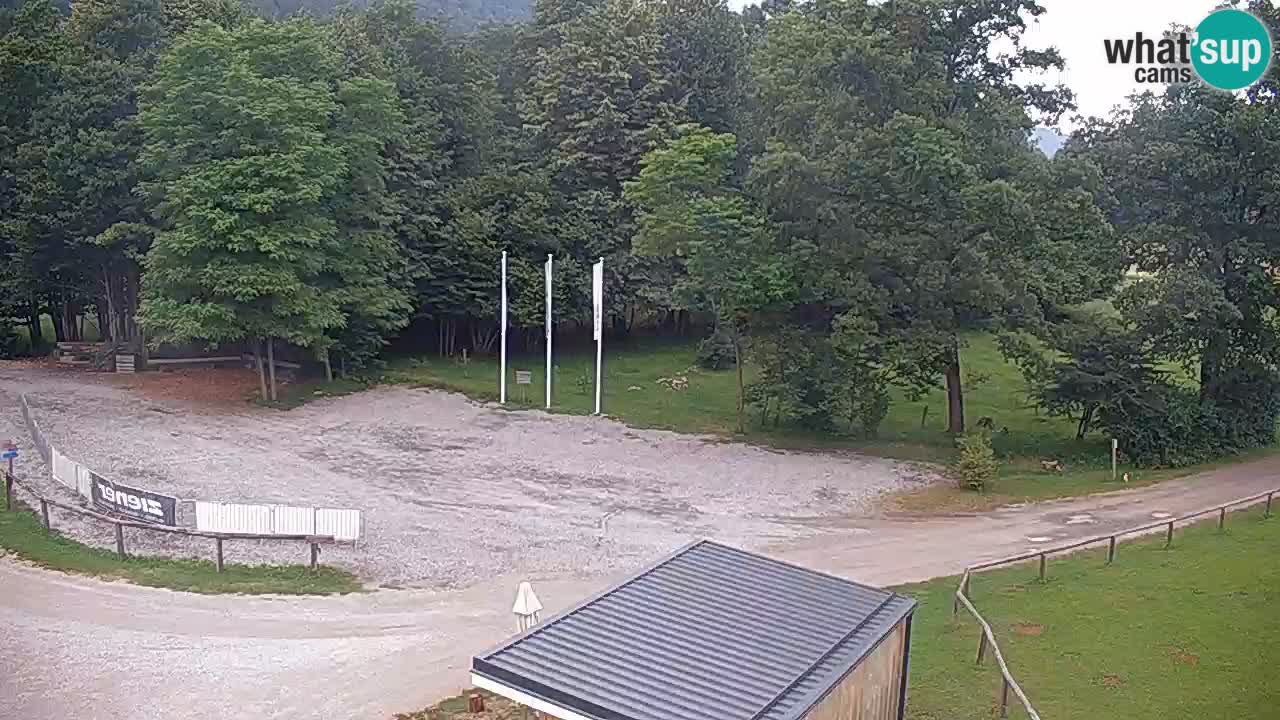 Webcam en direct Kočevje – Centre de trail VTT – Slovénie