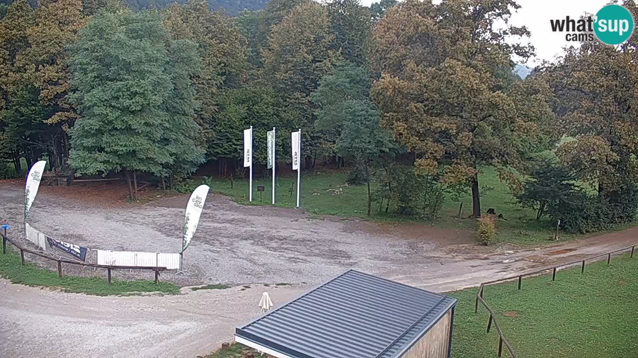 Webcam en direct Kočevje – Centre de trail VTT – Slovénie