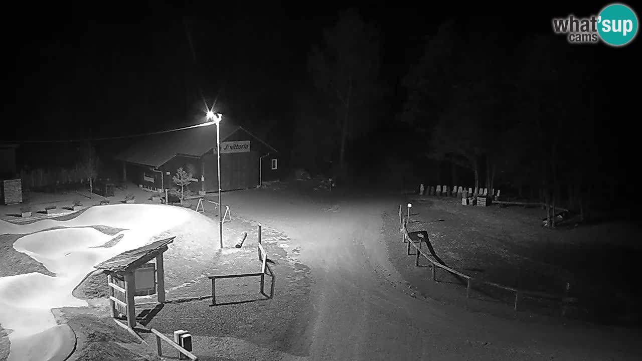 Kočevje Live webcam – MTB trail center – Slowenien