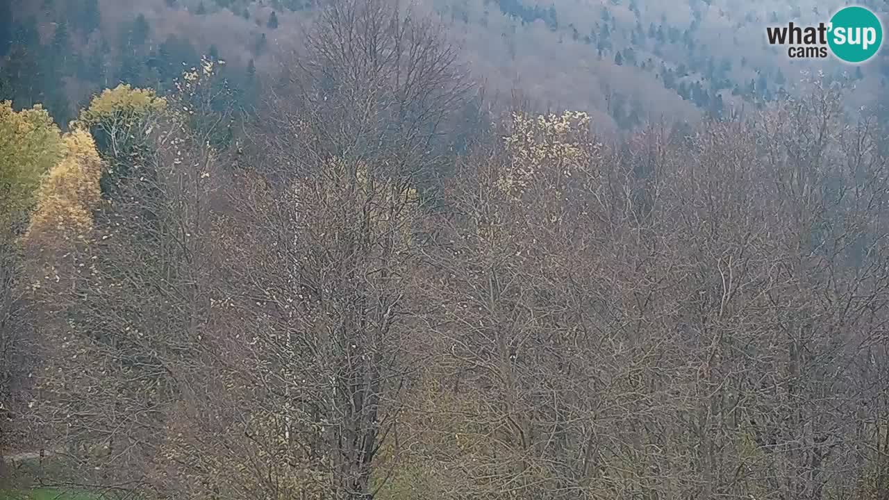 Webcam Kočevje – centro allenamento e svago MTB trail center – Slovenia