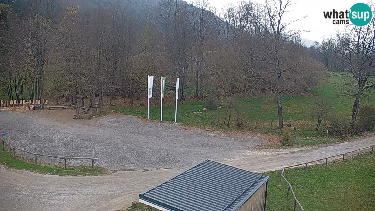 Webcam Kočevje – centro allenamento e svago MTB trail center – Slovenia