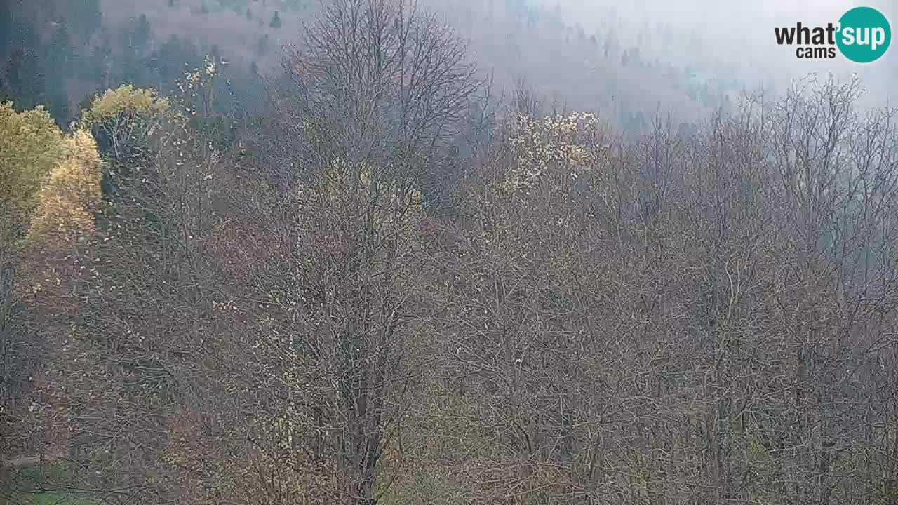 Kočevje Live webcam – MTB trail center – Slowenien