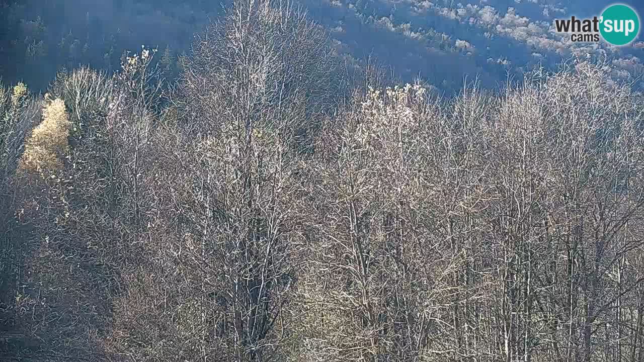 Webcam Kočevje – centro allenamento e svago MTB trail center – Slovenia