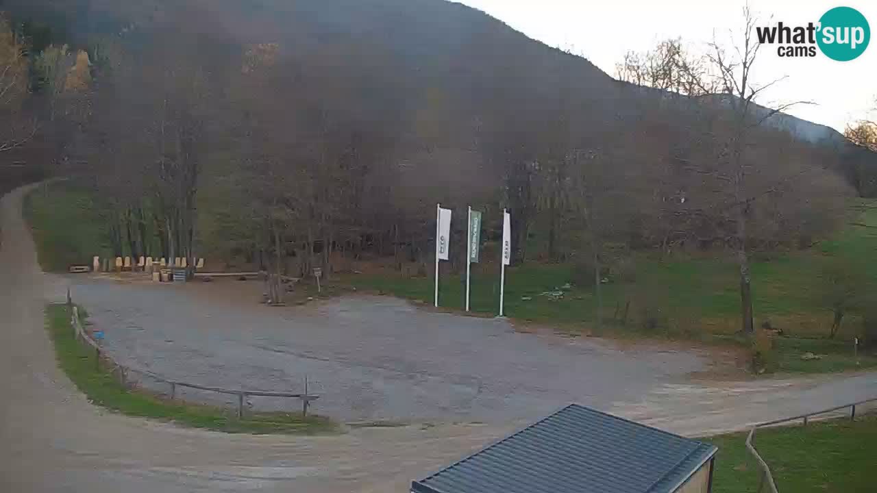 Kočevje Live webcam – MTB trail center – Slowenien