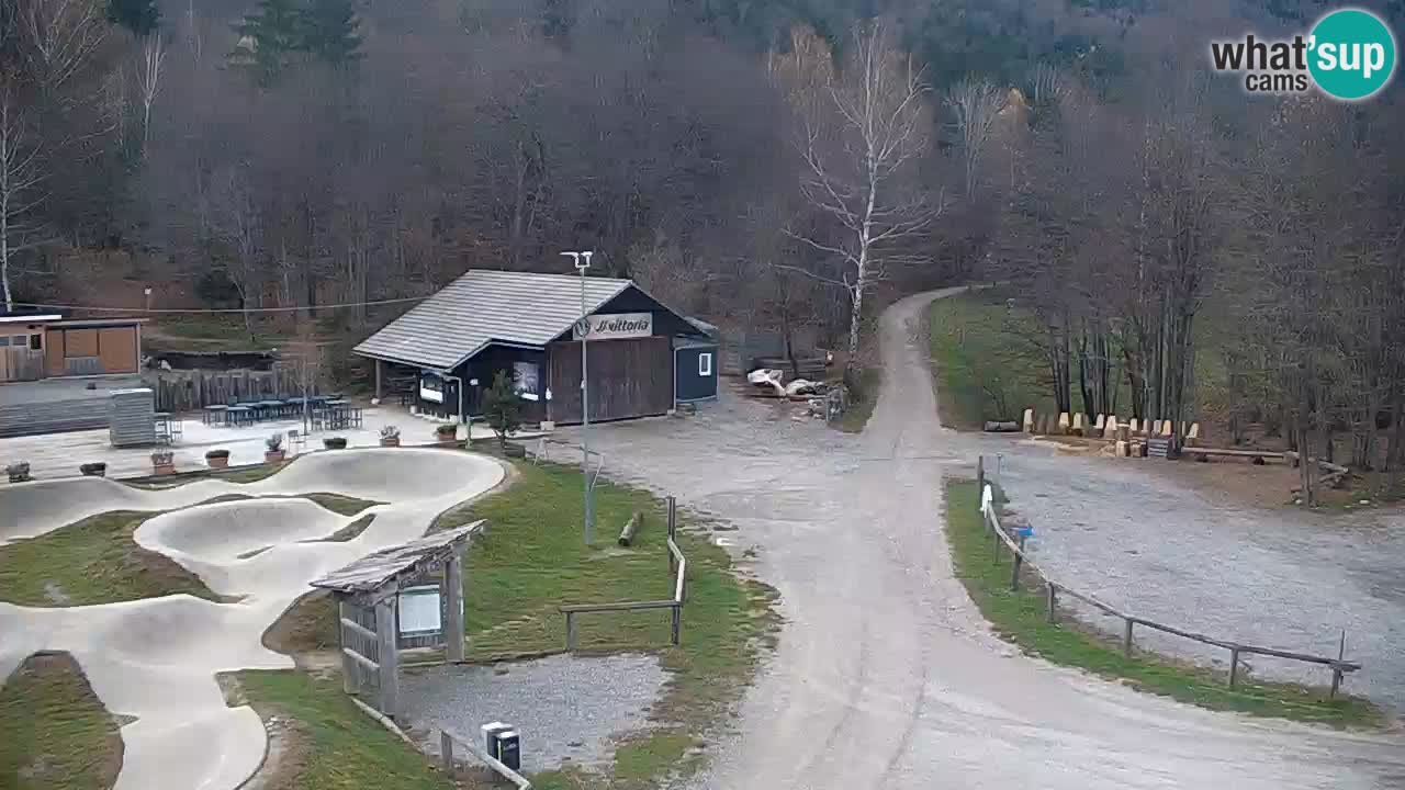 Kočevje Live webcam – MTB trail center – Slowenien