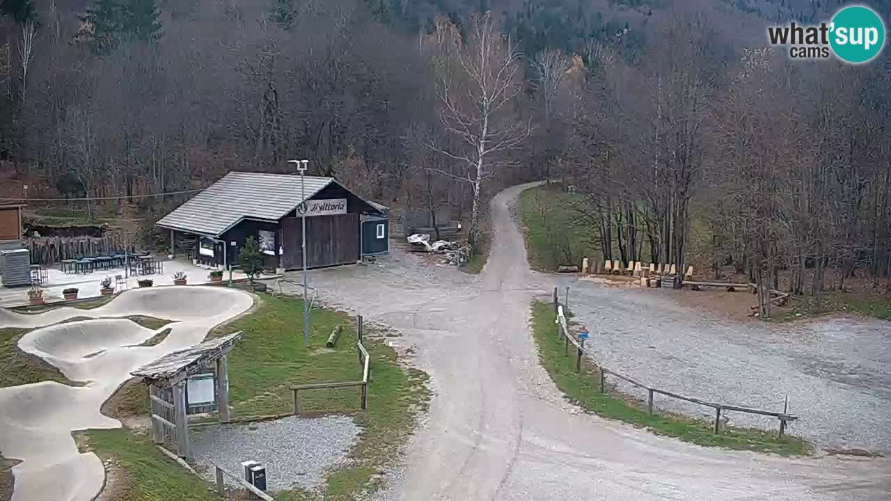 Kočevje Live webcam – MTB trail center – Slowenien