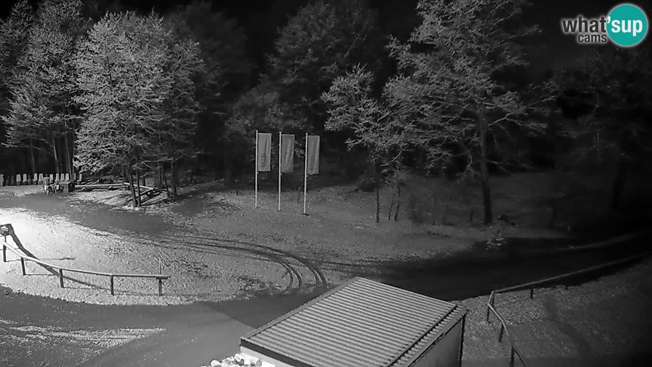 Webcam Kočevje – centro allenamento e svago MTB trail center – Slovenia