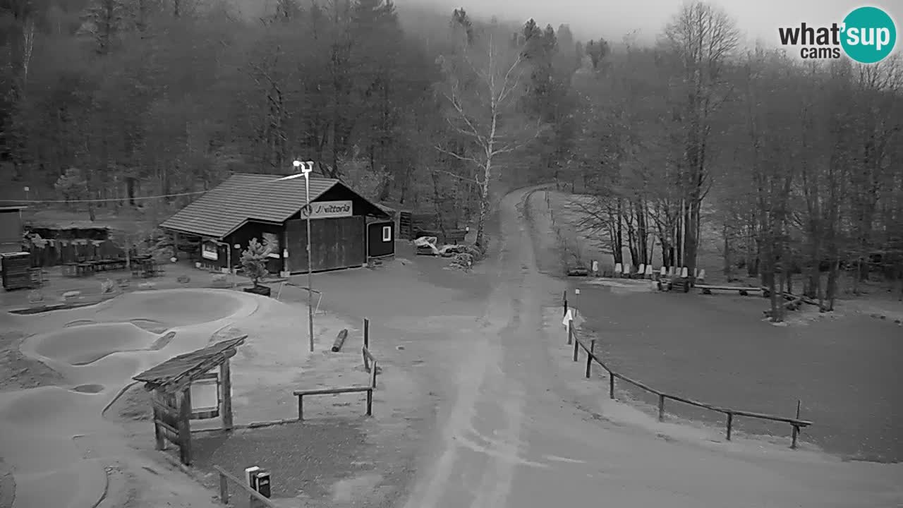 Kočevje Live webcam – MTB trail center – Slowenien