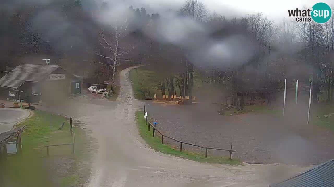 Kočevje Live webcam – MTB trail center – Slowenien