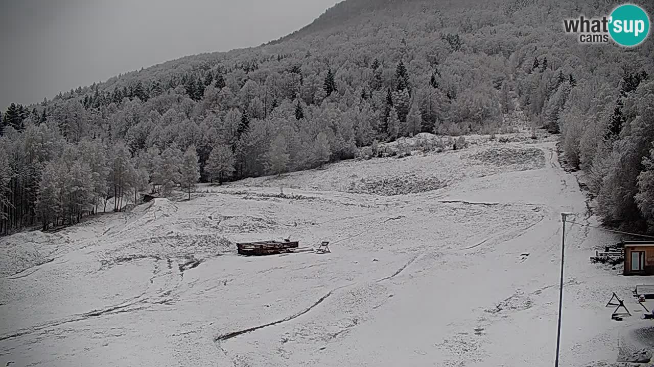 Spletna kamera Kočevje – MTB trail center v živo