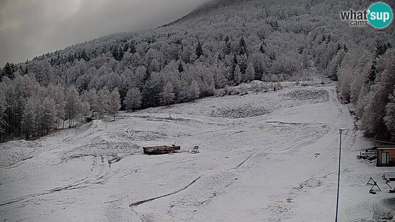 Spletna kamera Kočevje – MTB trail center v živo