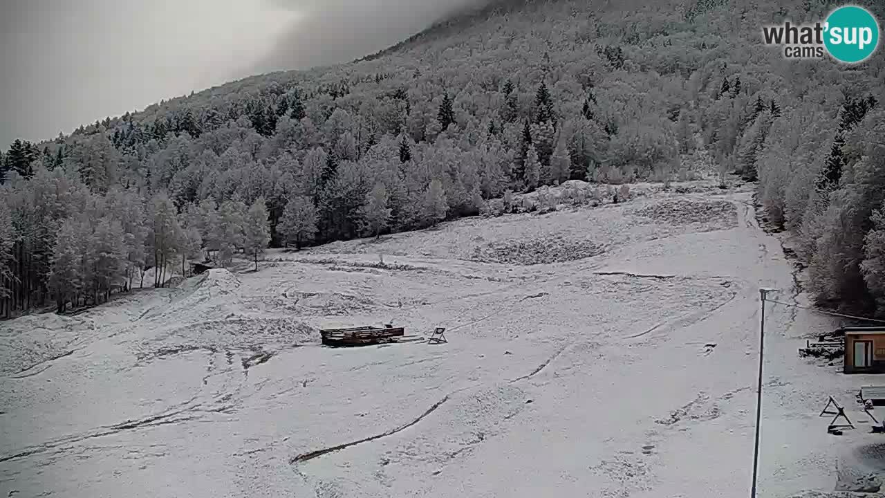 Spletna kamera Kočevje – MTB trail center v živo