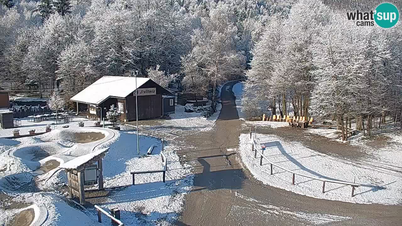 Kočevje Live webcam – MTB trail center – Slowenien