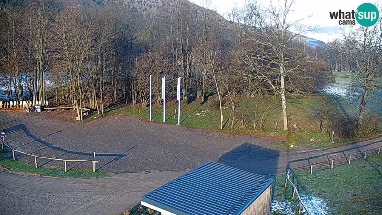 Kočevje Live webcam – MTB trail center – Slowenien