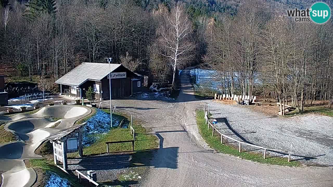 Spletna kamera Kočevje – MTB trail center v živo