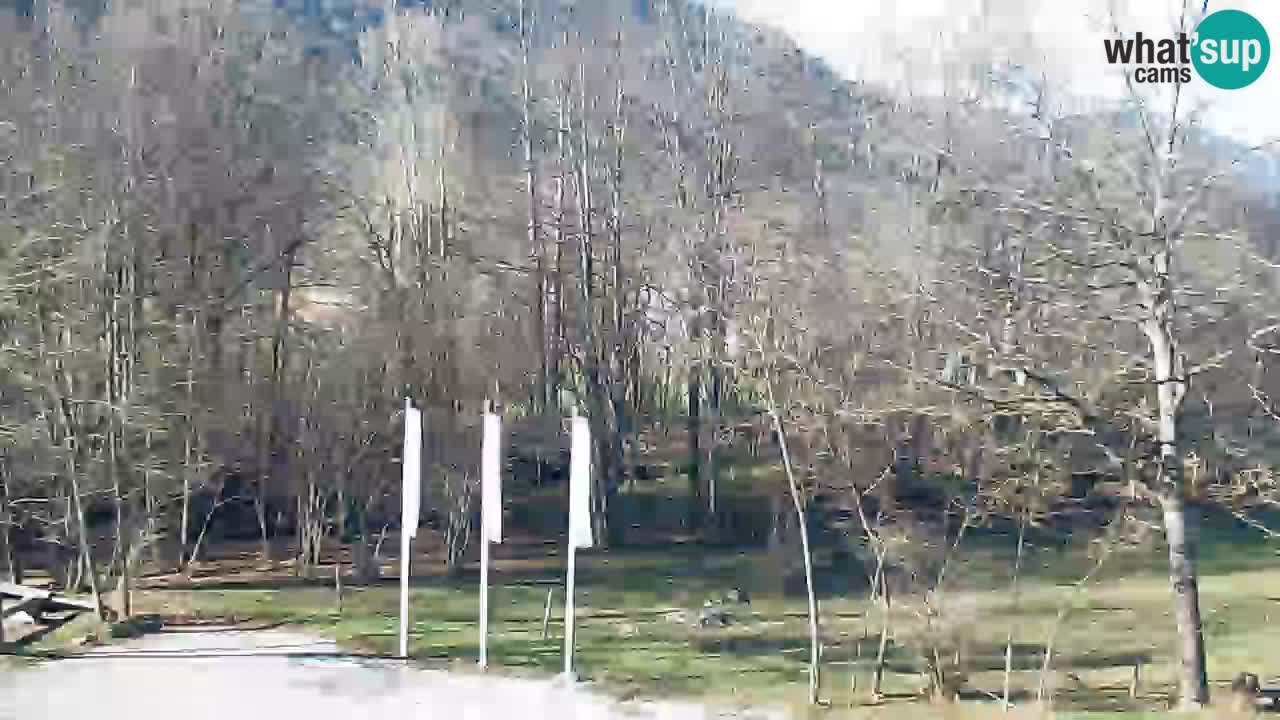 Kočevje Live webcam – MTB trail center – Slowenien