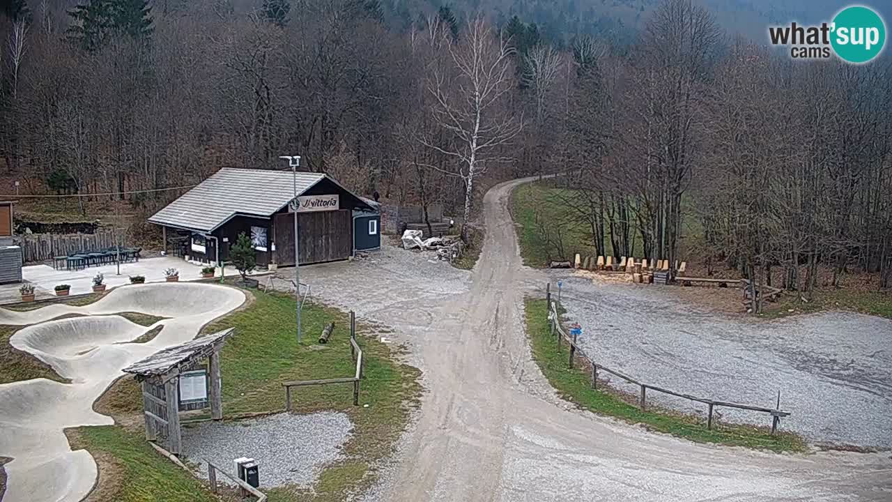 Kočevje Live webcam – MTB trail center – Slowenien