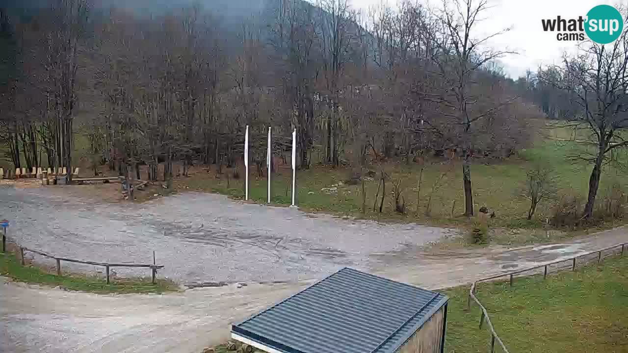 Kočevje Live webcam – MTB trail center – Slowenien