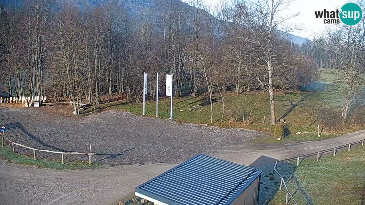 Spletna kamera Kočevje – MTB trail center v živo