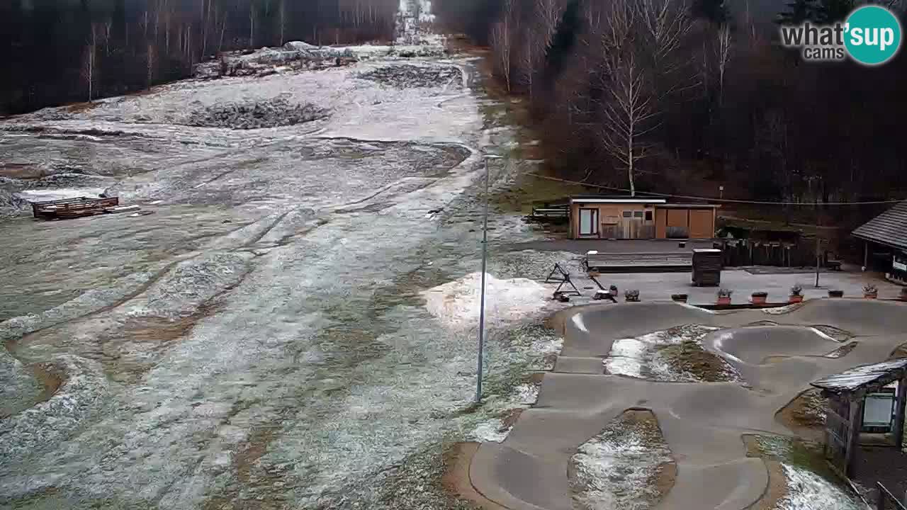 Web kamera Kočevje – MTB trail center – Slovenija