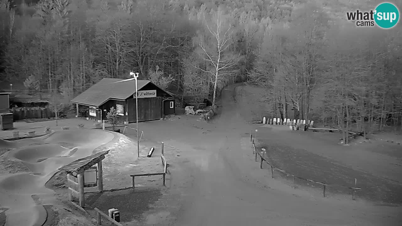 Kočevje Live webcam – MTB trail center – Slowenien