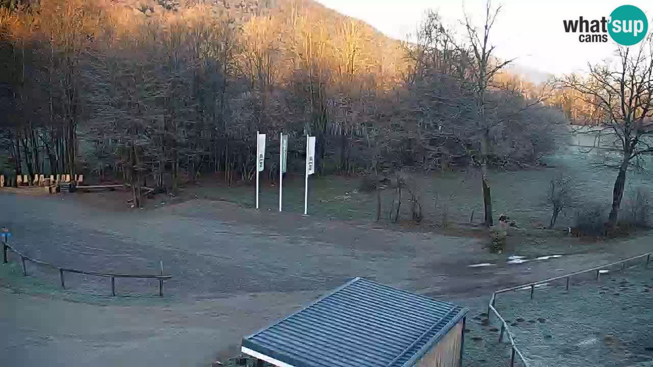 Live webcam Kočevje – MTB trail center – Slovenia