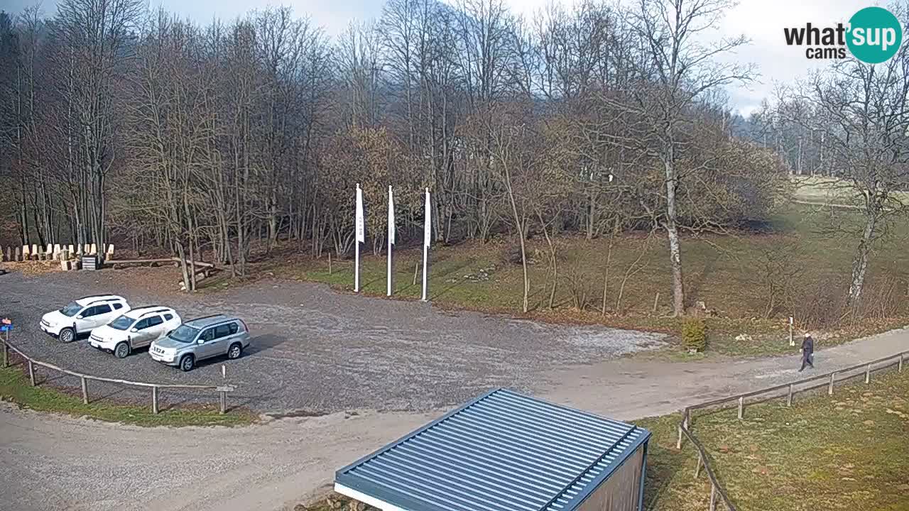 Webcam Kočevje – centro allenamento e svago MTB trail center – Slovenia