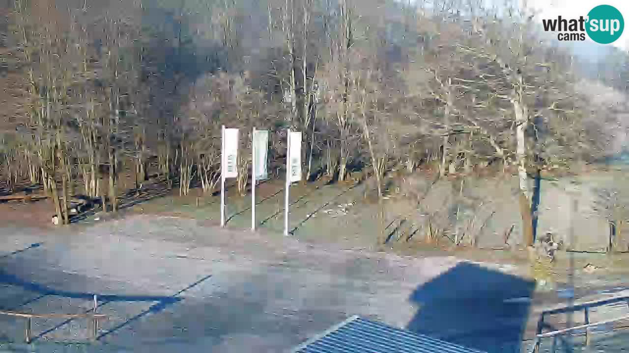 Webcam Kočevje – centro allenamento e svago MTB trail center – Slovenia