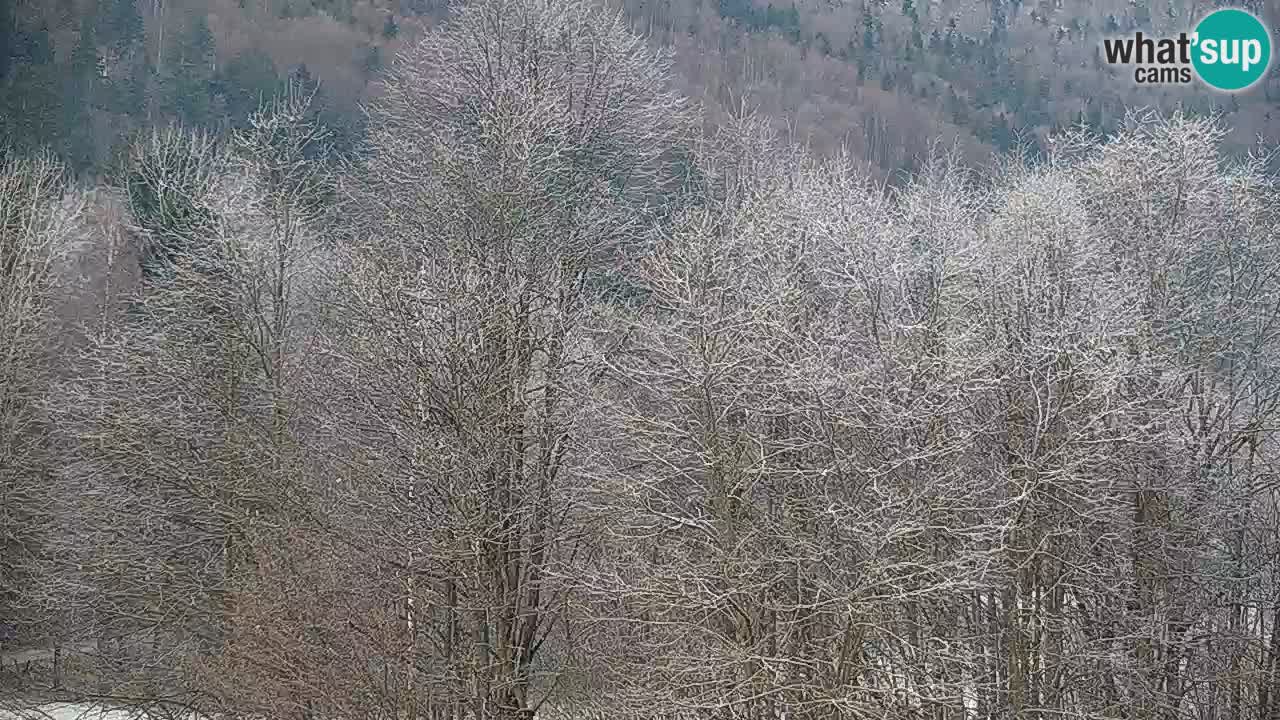 Webcam Kočevje – centro allenamento e svago MTB trail center – Slovenia